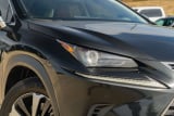 2020 Lexus NX - Preview 3