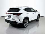 2026 Lexus NX - Preview 5