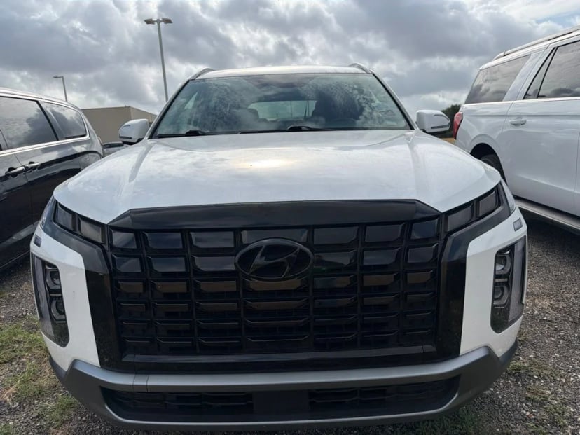 2025 Hyundai Palisade - Image 2
