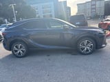 2025 Lexus RX - Preview 6