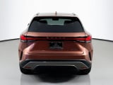 2024 Lexus RX - Preview 6