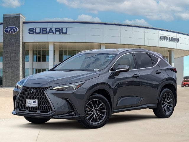 2024 Lexus NX - Image 1
