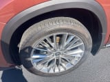 2025 Lexus NX - Preview 9