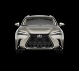 2026 Lexus NX - Preview 6