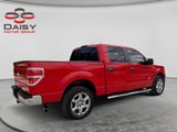 2013 Ford F-150 - Preview 6