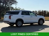 2025 Hyundai Palisade - Preview 4