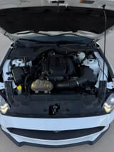 2019 Ford Mustang - Preview 14