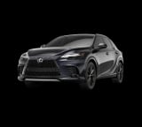 2026 Lexus RX - Preview 2