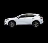 2026 Lexus NX - Preview 3