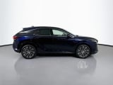 2023 Lexus RX - Preview 4