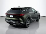 2026 Lexus RX - Preview 5