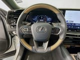 2025 Lexus RX - Preview 11