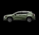 2026 Lexus NX - Preview 3