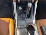 2021 Lexus NX - Preview 15