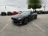 2022 Ford Mustang - Preview 4