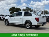 2025 Ford F-150 - Preview 3