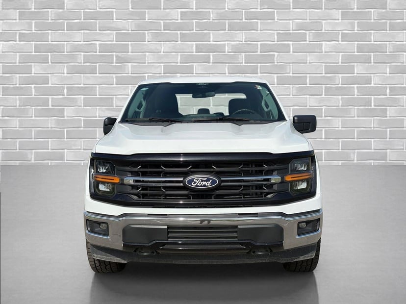 2025 Ford F-150 - Image 1