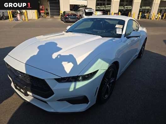 2025 Ford Mustang - Image 1