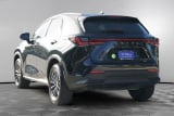 2025 Lexus NX - Preview 6