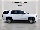 2020 Cadillac Escalade - Preview 11