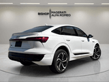 2024 Audi Q8 - Preview 6
