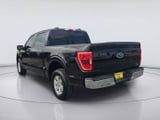 2023 Ford F-150 - Preview 3