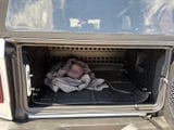 2021 Ford Bronco - Preview 14