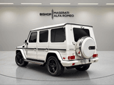 2017 Mercedes-Benz G-Class - Preview 3
