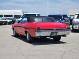 1969 Chevrolet Chevelle - Preview 5