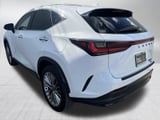 2026 Lexus NX - Preview 6