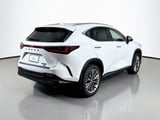 2026 Lexus NX - Preview 4