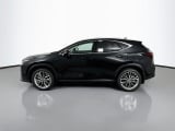 2026 Lexus NX - Preview 8
