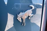 2021 Ford Bronco - Preview 9