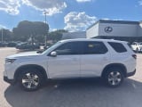 2024 Honda Pilot - Preview 2