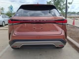 2024 Lexus RX - Preview 6
