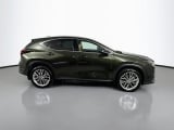 2025 Lexus NX - Preview 4