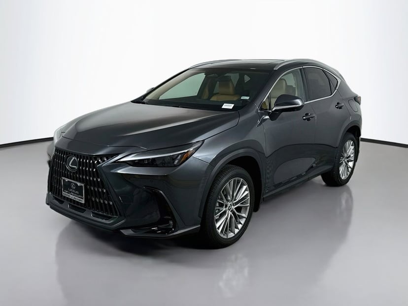 2025 Lexus NX - Image 1