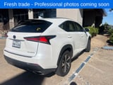 2019 Lexus NX - Preview 5