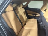 2025 Lexus NX - Preview 10
