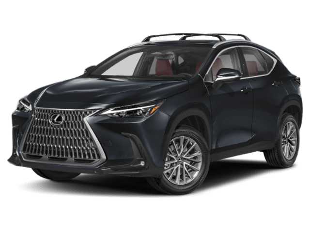 2024 Lexus NX - Image 1