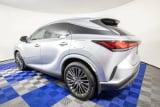 2024 Lexus RX - Preview 8