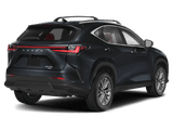 2024 Lexus NX - Preview 2