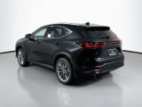 2026 Lexus NX - Preview 7