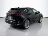 2026 Lexus NX - Preview 5