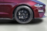 2018 Ford Mustang - Preview 4