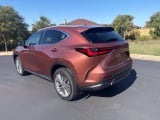 2025 Lexus NX - Preview 3