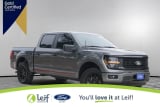 2024 Ford F-150 - Preview 2