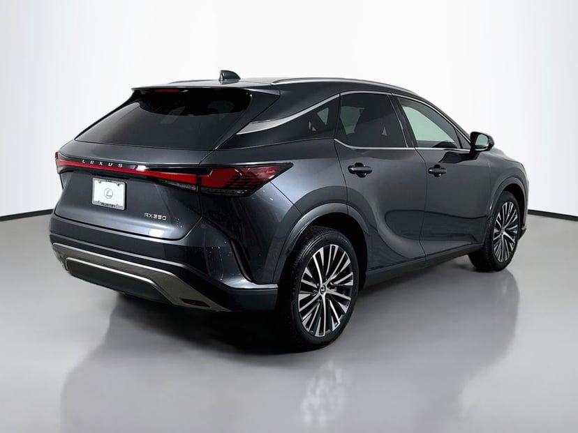 2025 Lexus RX - Image 3