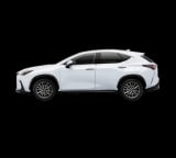 2026 Lexus NX - Preview 3
