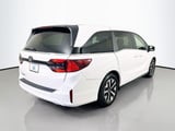 2026 Honda Odyssey - Preview 5